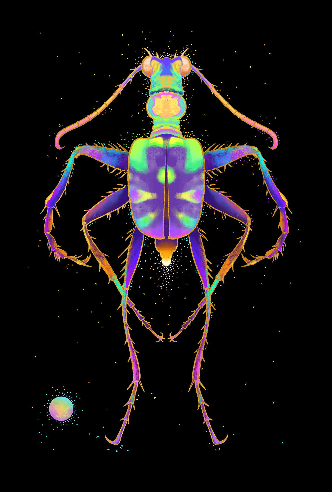 热情昆虫|插画|创作习作|张唔遂 - 原创作品 - 站酷 (zcool)