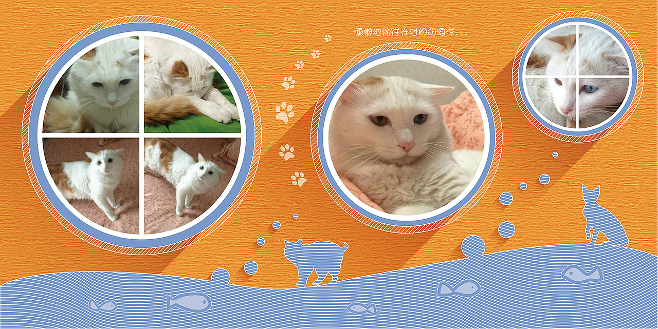 喵星人相册（图ZNDA3OTMyNzI=） - 其他平面 - 站酷设计师Rebecca_H原创素材 - 站酷ZCOOL