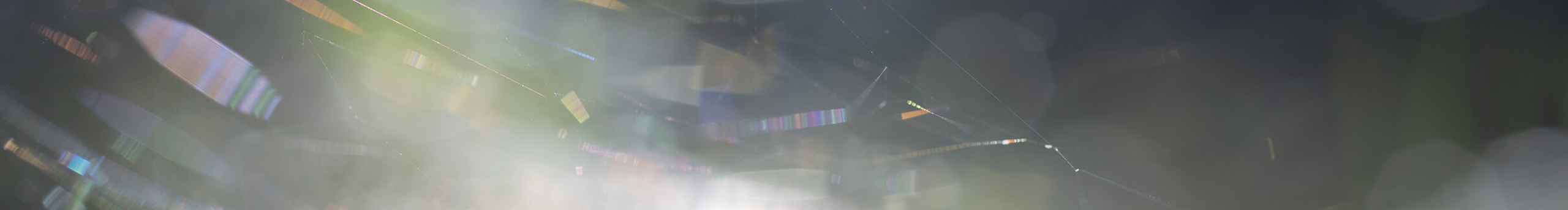 杏川里的个人主页（封面预览） - 主页封面设置 - 站酷设计师杏川里原创素材 - 站酷ZCOOL