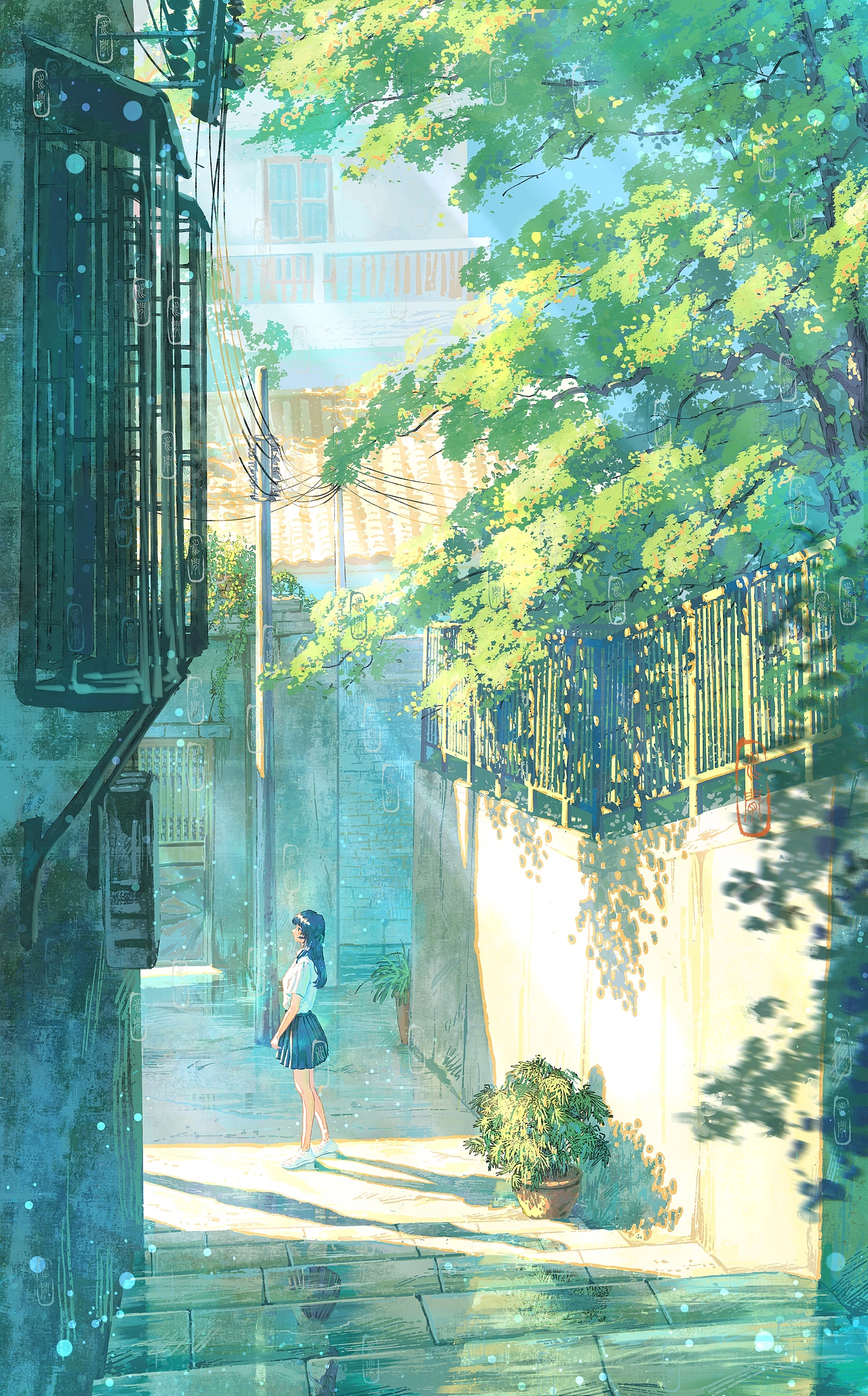 夏日流光系列二