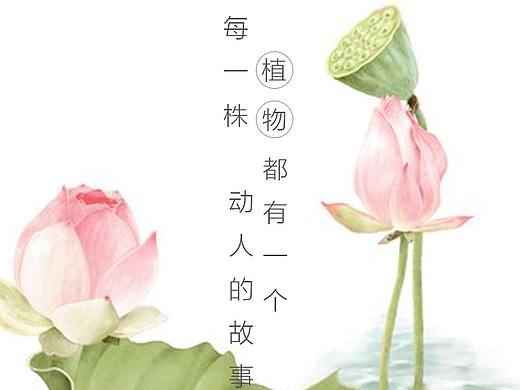 恋花APP