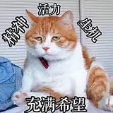 寻找小星星的头像