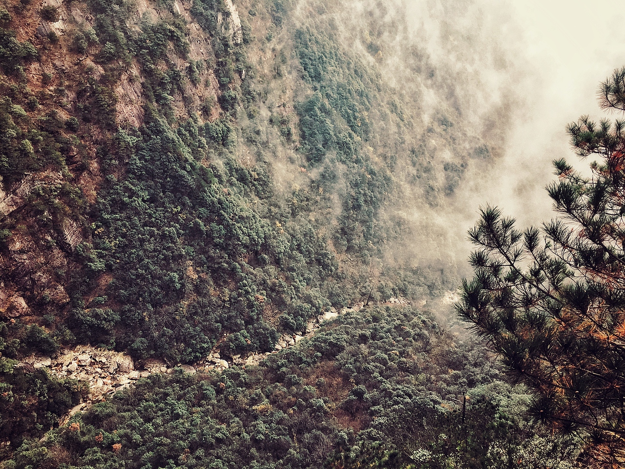 iphone6s 摄影（图ZNzQ2NzA1NDA=） - 风光摄影 - 站酷设计师神奇芋头原创素材 - 站酷ZCOOL