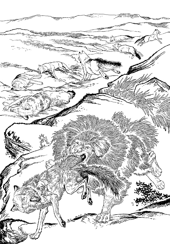 写实漫画线稿,写实动物插画,探险插画,儿童插画绘本