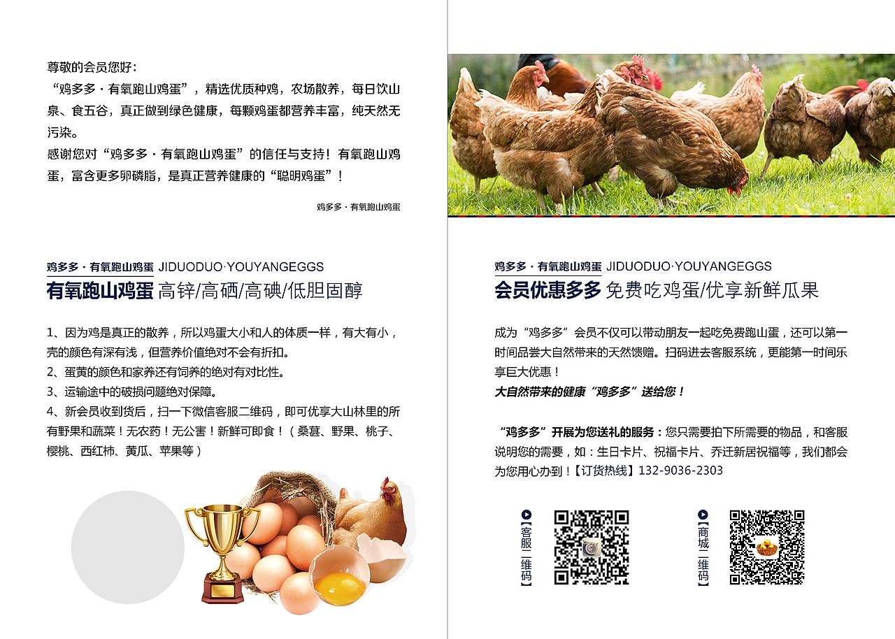 鸡蛋卡片 易拉宝（图ZMTIwNDUzMjgw） - 宣传物料 - 站酷设计师壹命原创素材 - 站酷ZCOOL