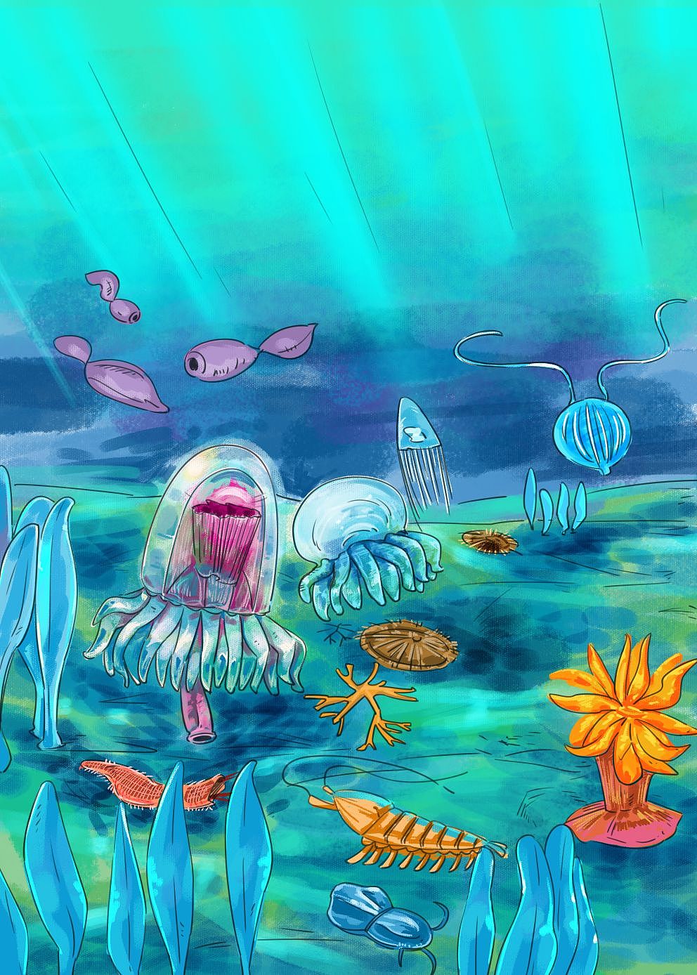 46亿岁的地球-生物多样的古生代（图ZMzY3MjE5ODYw） - 商业插画 - 站酷设计师点琢工作室原创素材 - 站酷ZCOOL