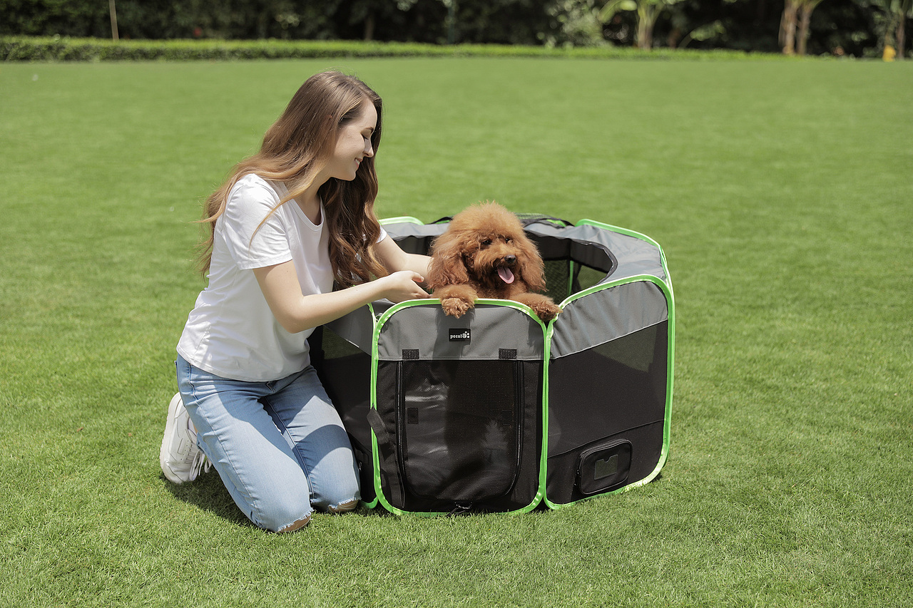 宠物用品外模拍摄（图ZMjUzNDQzMjY4） - 产品摄影 - 站酷设计师Damon陈原创素材 - 站酷ZCOOL