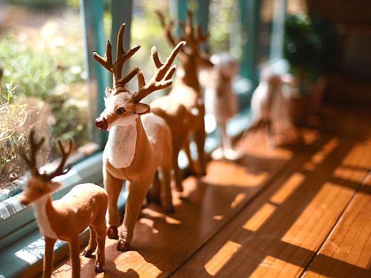 青岛 昨日乡村原木工坊