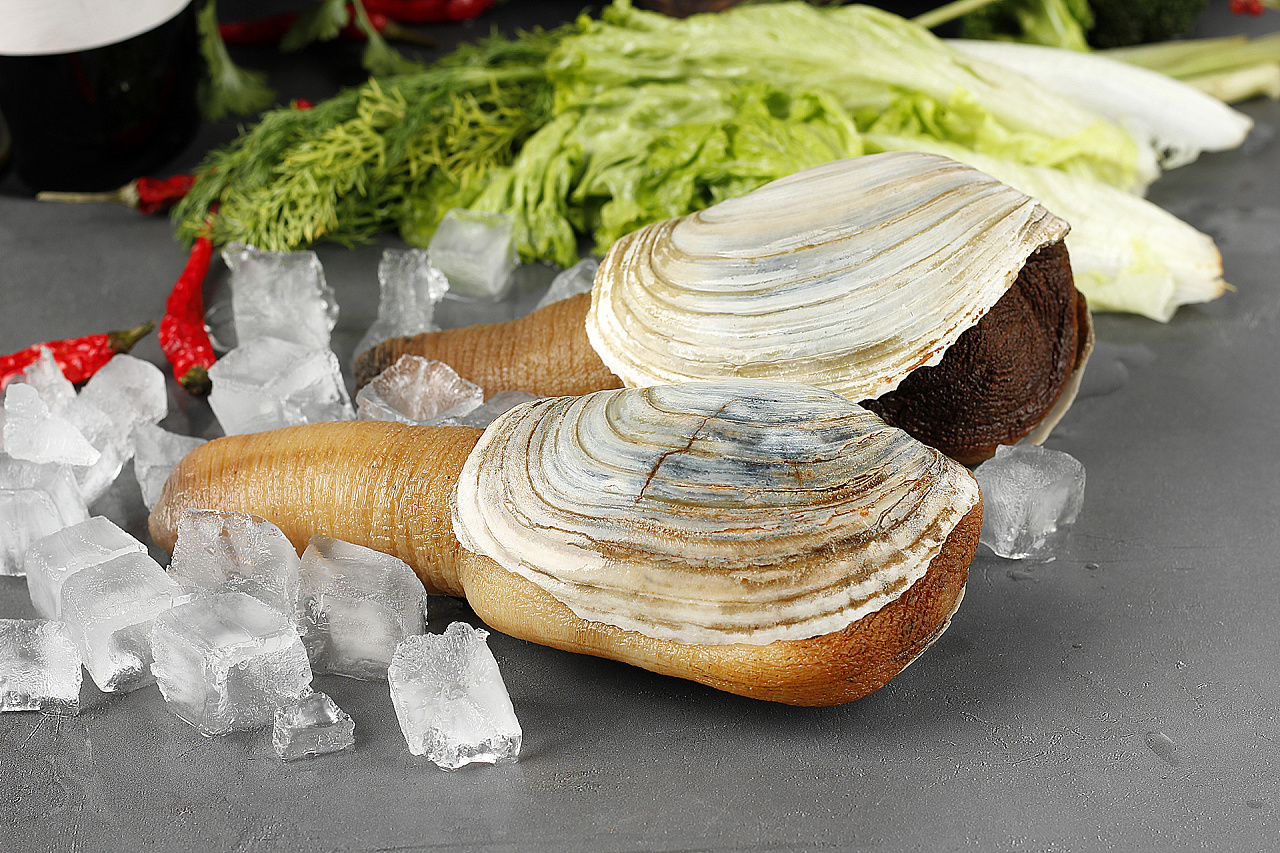 象拔蚌拍摄丨这生物很尴尬丨飞鸟电商