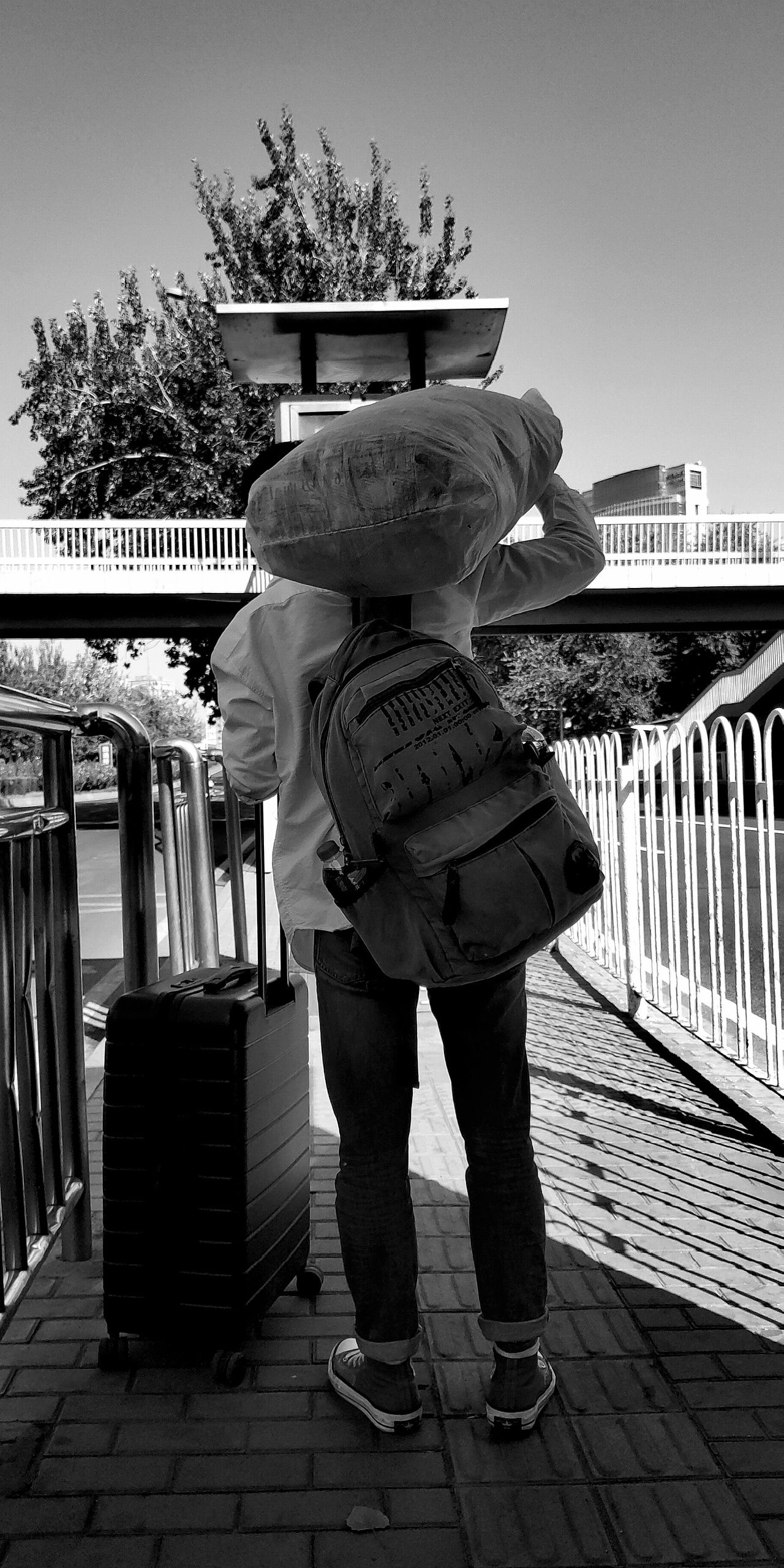 2019年北漂所见—手机随拍(下)