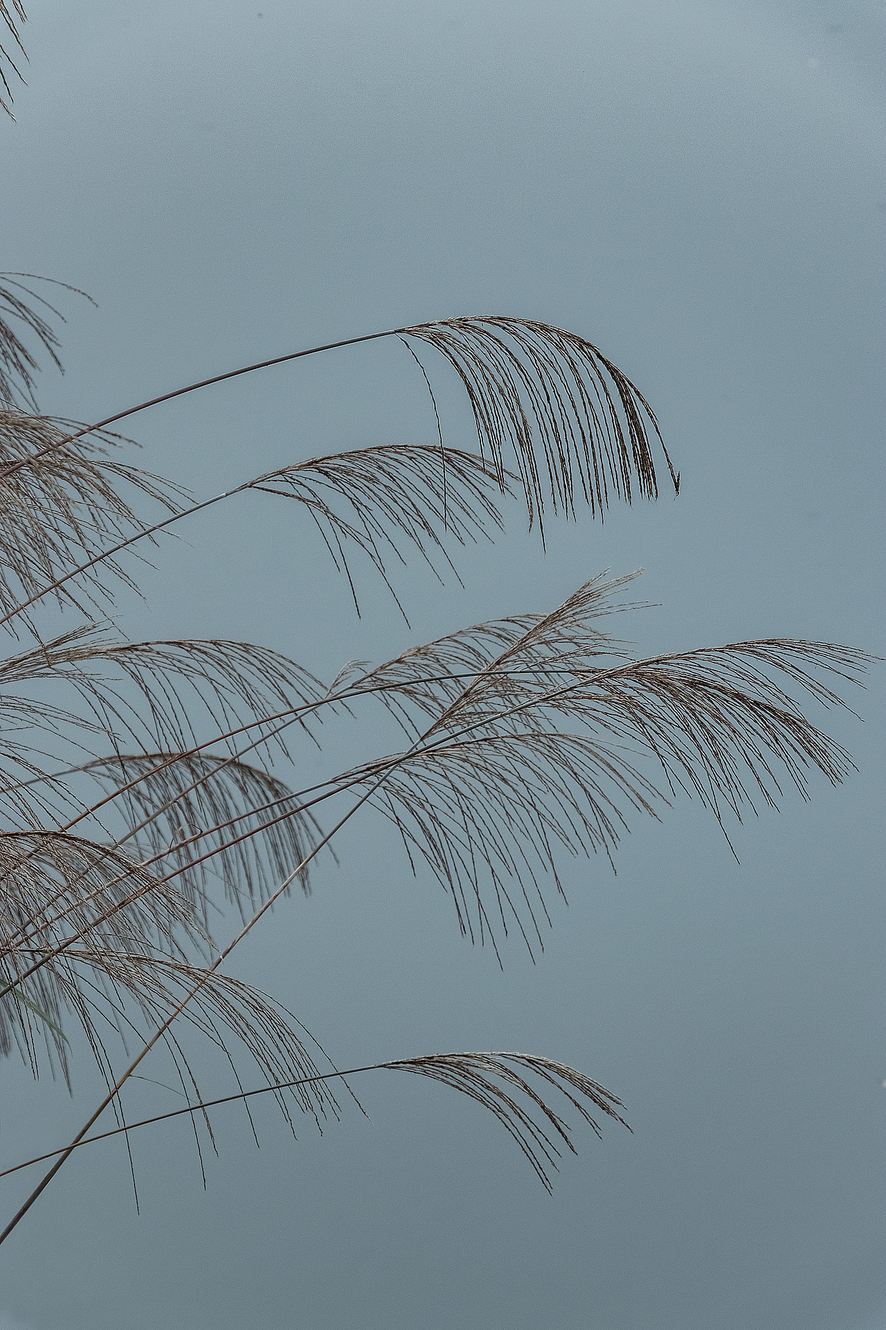 烟雨南充,山水如墨染