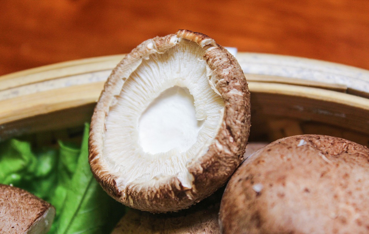 蔬菜拍摄 豆干拍摄 食物拍摄 北海产品拍摄 冯宜辉 Jichan Von（图ZNjE3NTI1NzY=） - 产品摄影 - 站酷设计师冯宜辉原创素材 - 站酷ZCOOL