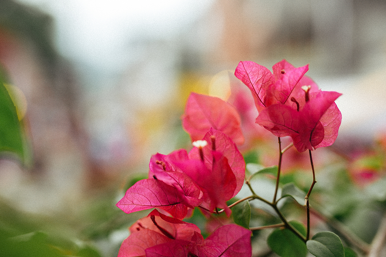 台湾纪——九份