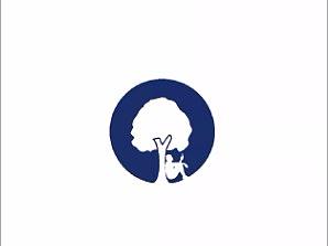 VI视觉识别系统(标识，样宣，海报等)