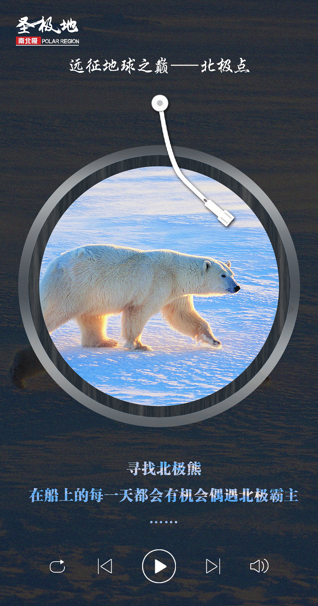 北极|平面|海报|92糊涂虫 - 原创作品 - 站酷 (zcool)