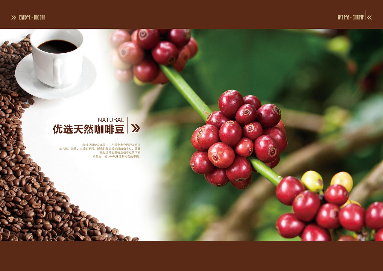 咖啡宣传册 APP界面设计 画册 UI设计 H5页面 品牌（图ZMTUwMzY2NjI0） - 品牌 - 站酷设计师杜飞888原创素材 - 站酷ZCOOL