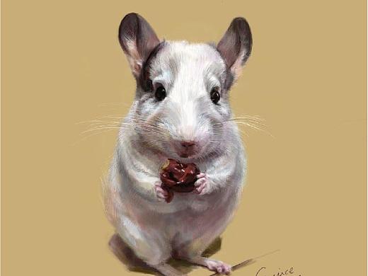 手绘小动物（个人主页-ZMzUyNzMyOTY=） - 创作习作 - 站酷设计师Eunice2213原创素材 - 站酷ZCOOL