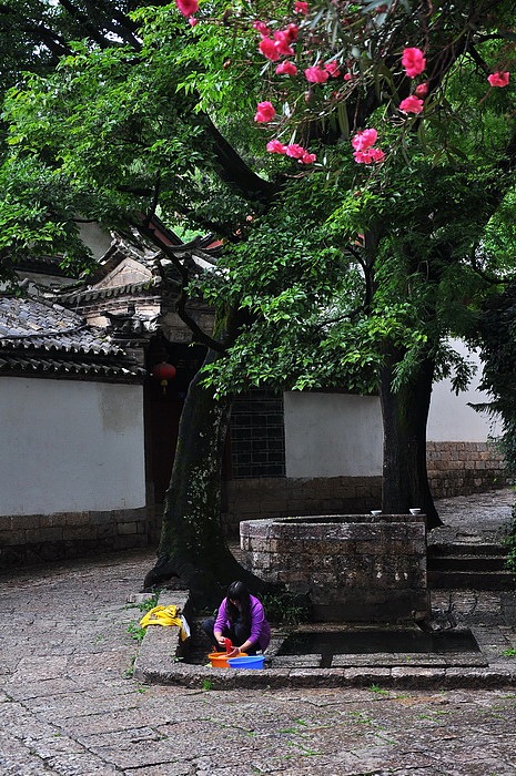 彩雲之南《肆》——麗江古城