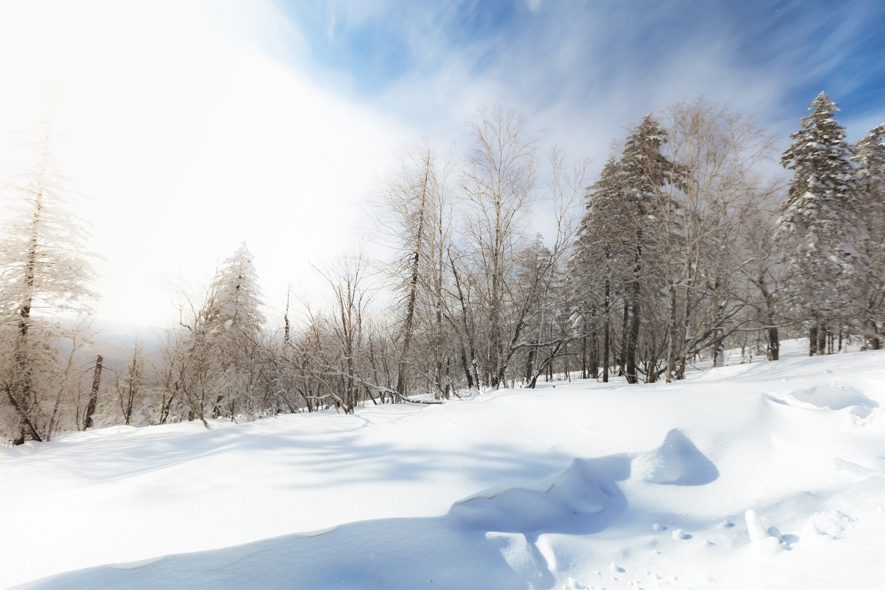 通向雪山深处的路——雪景幻灯片背景图片,ppt图片——51PPT模板网