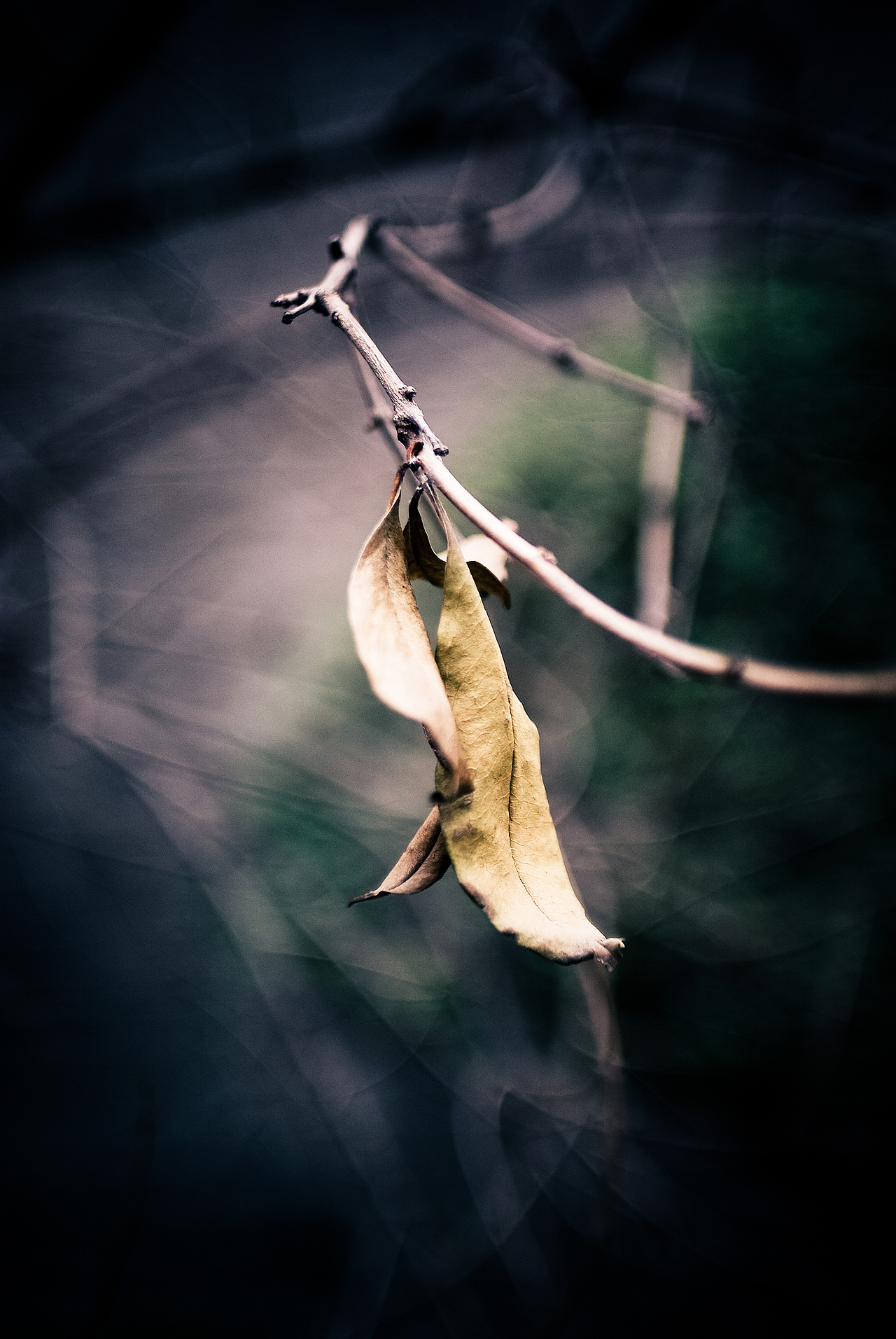 外事北-久违的校园,寻找那熟悉而又淡忘的曾经