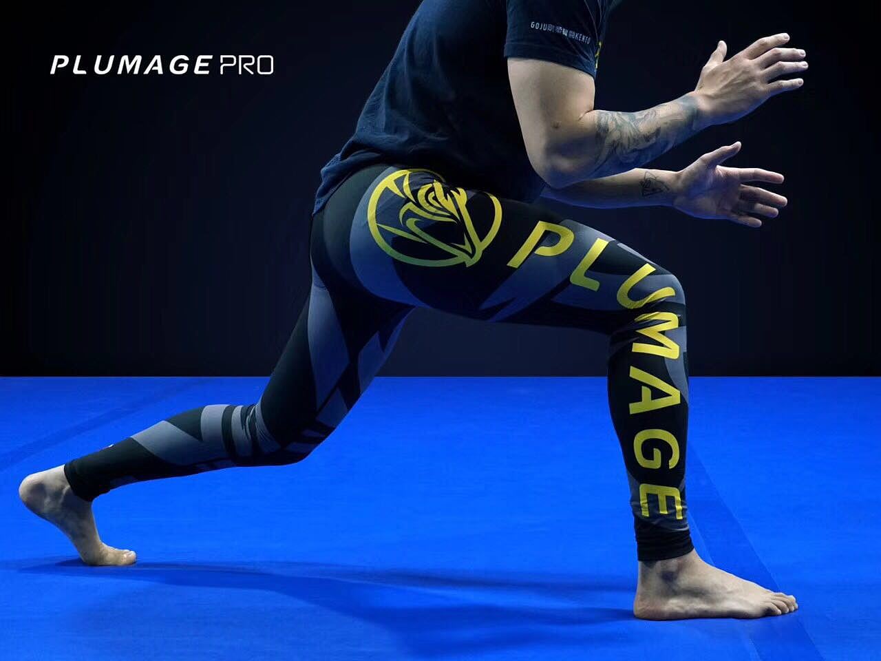 Plumage-翎品牌设计