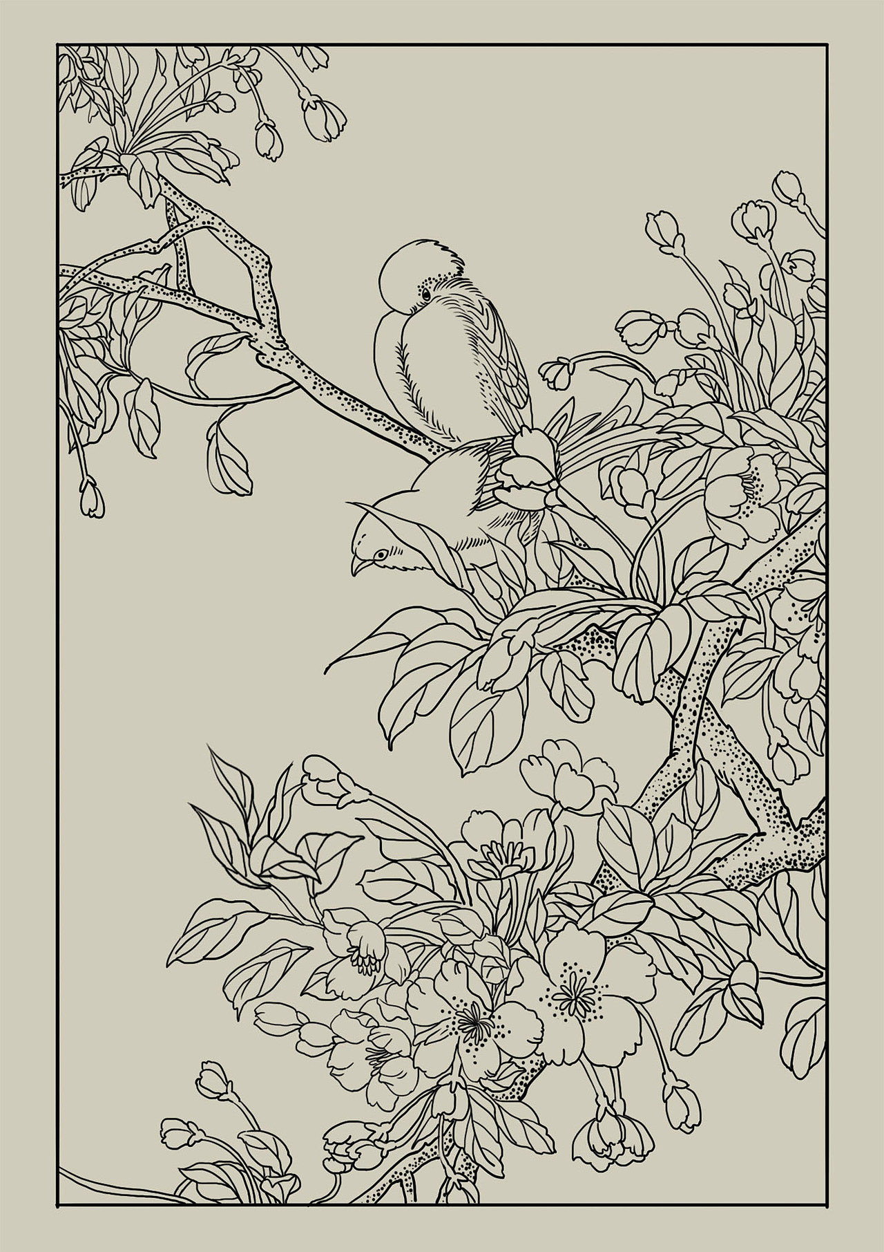 花鸟练习图(附线稿)