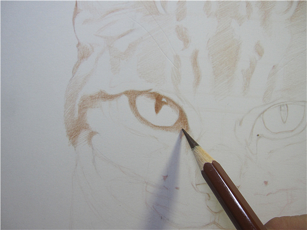 纸上彩铅--《猫爸与猫仔》纸张测试 随录