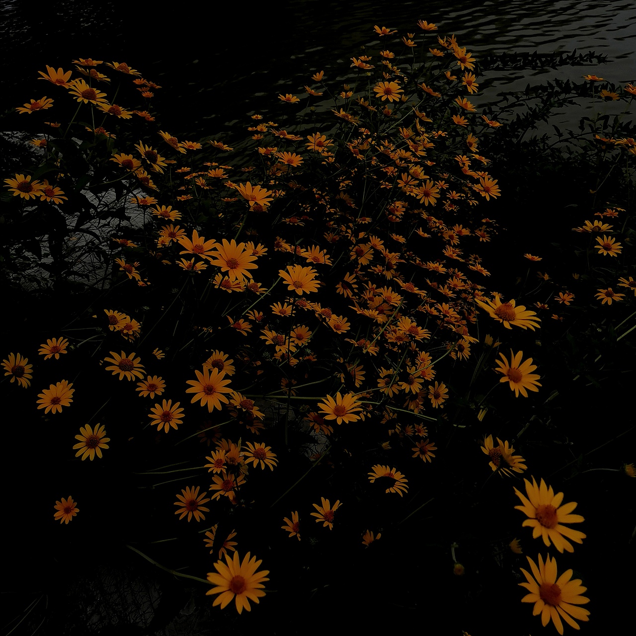 攝影愛好者??（圖ZMjM5NTU5NDc2） - 修圖/后期 - 站酷設(shè)計(jì)師不吃菜的兔兔原創(chuàng)素材 - 站酷ZCOOL