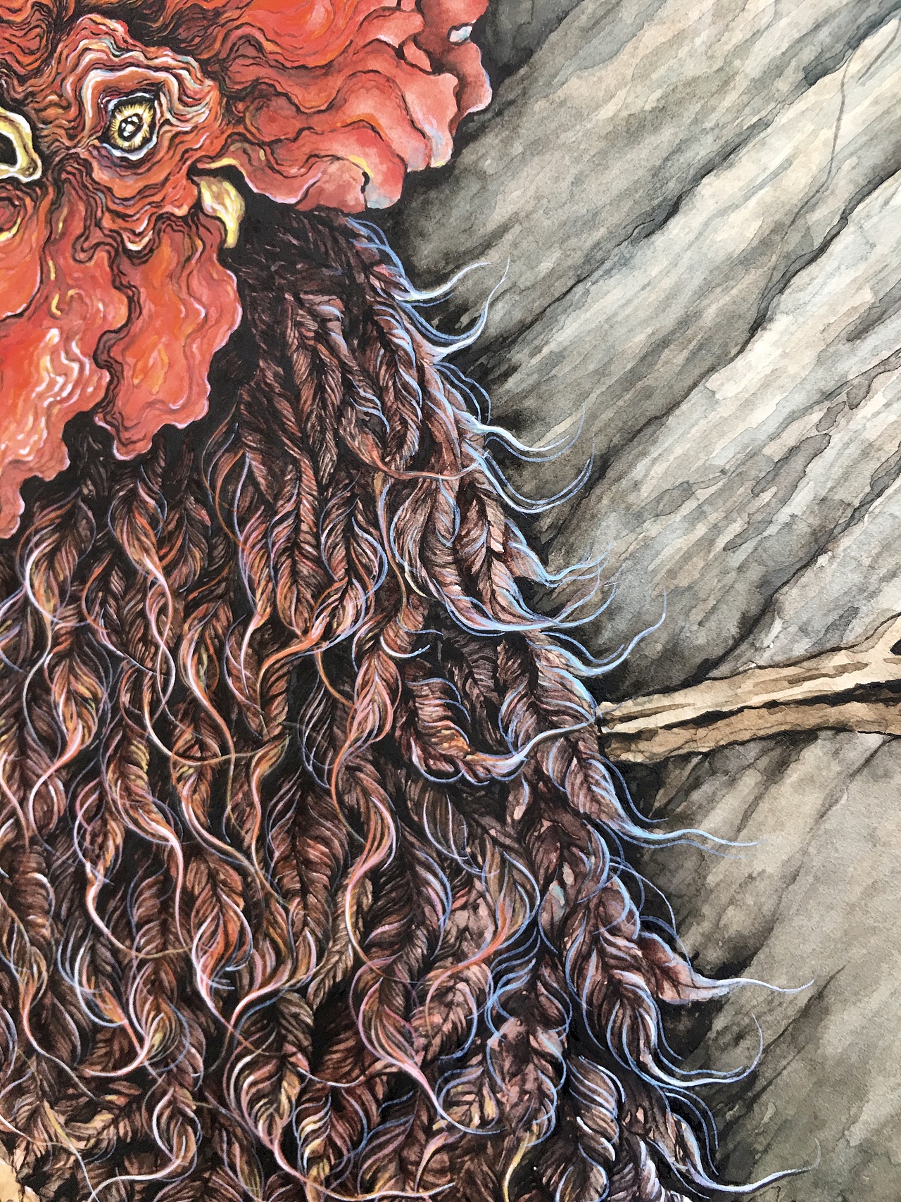 原创手绘水彩插画~大公鸡在炖蘑菇😄