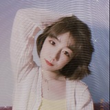 扬皙的头像