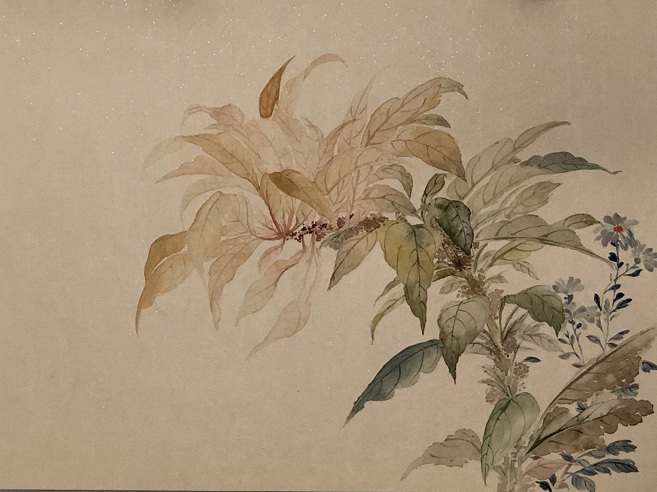 没骨花卉合集存图（图ZMTg0MjY0NjIw） - 绘画 - 站酷设计师王馨头上有犄角原创素材 - 站酷ZCOOL