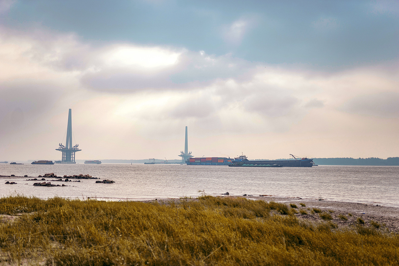 【酱油猫】江心洲粉黛花丛、江岸、JK