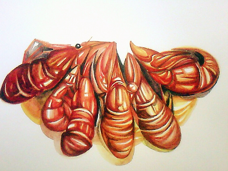 油焖大虾（图ZMTgxODgwOTY=） - 绘画 - 站酷设计师唯莹原创素材 - 站酷ZCOOL