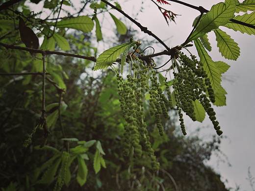 流年浮生（個人主頁-ZNDQyNDgzMjA=） - 環(huán)境/建筑攝影 - 站酷設(shè)計師A玖熙原創(chuàng)素材 - 站酷ZCOOL