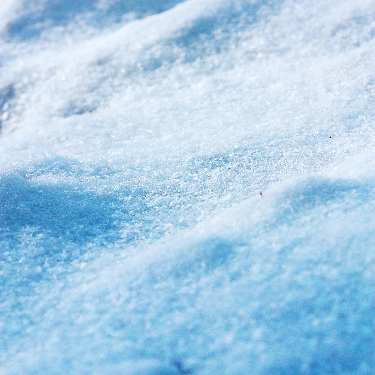 最爱东山晴后雪