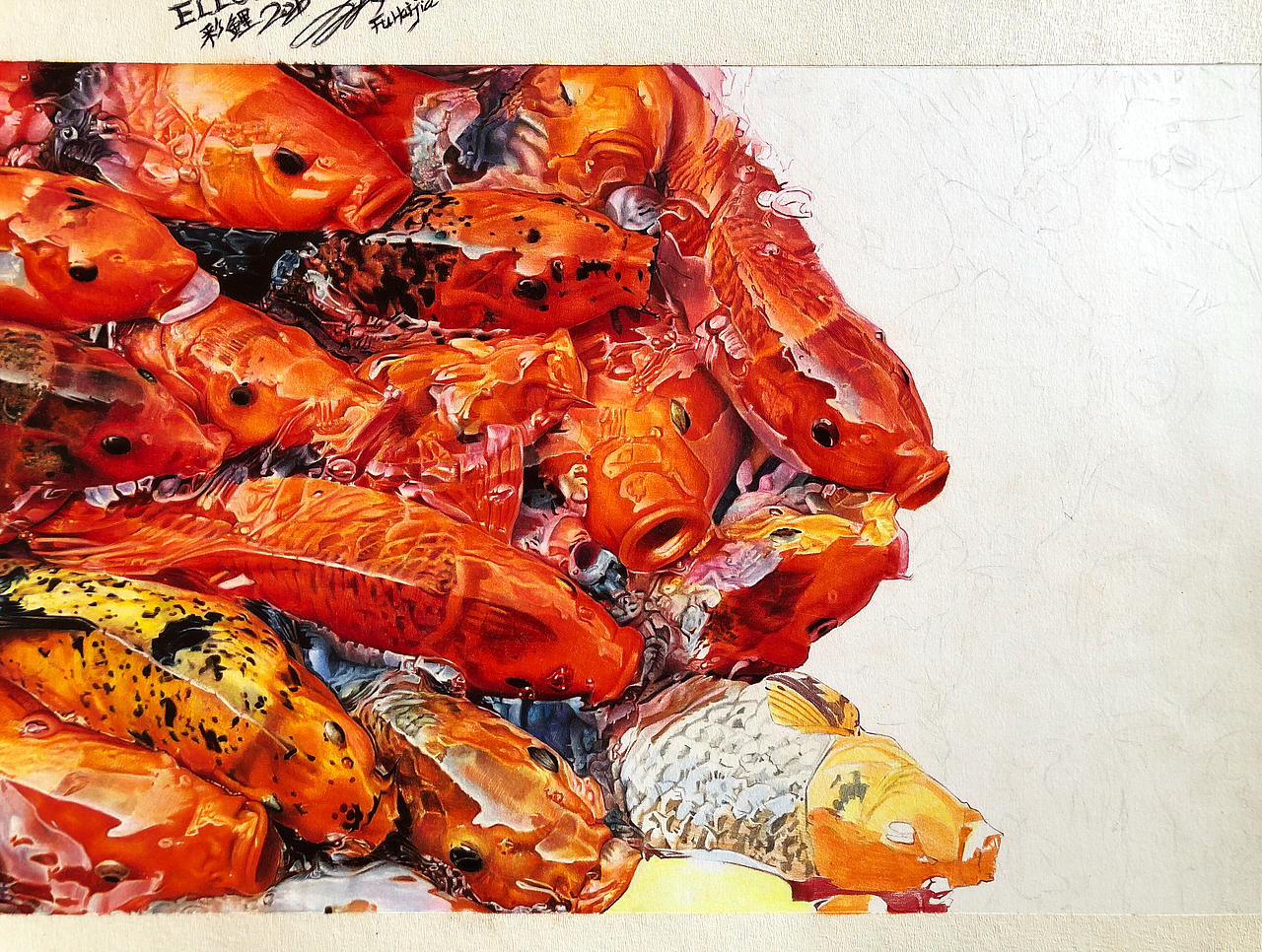 彩铅作品《彩鲤》（图ZMTMwMzA3NTky） - 创作习作 - 站酷设计师傅海嘉原创素材 - 站酷ZCOOL