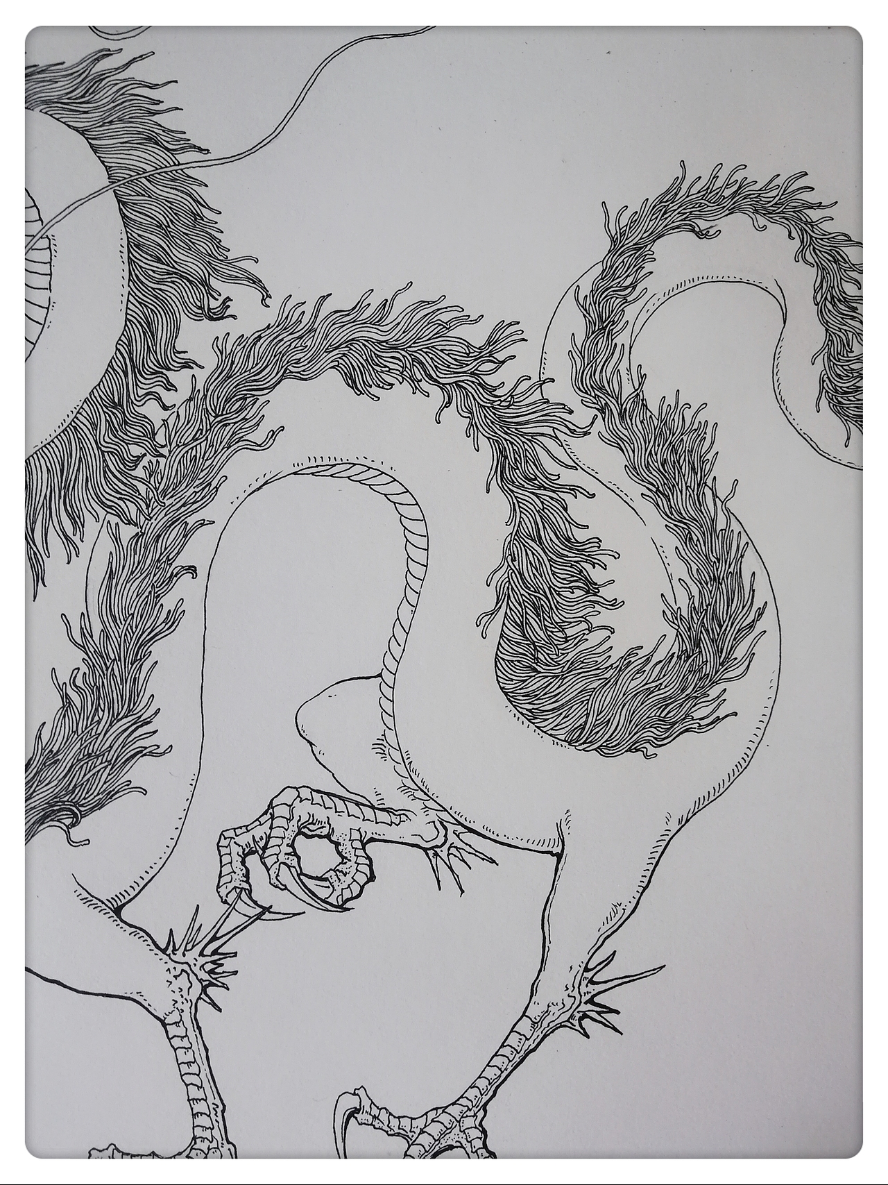 塑新斋潘纪坤插画练习千与千寻白龙赈早川琥珀主