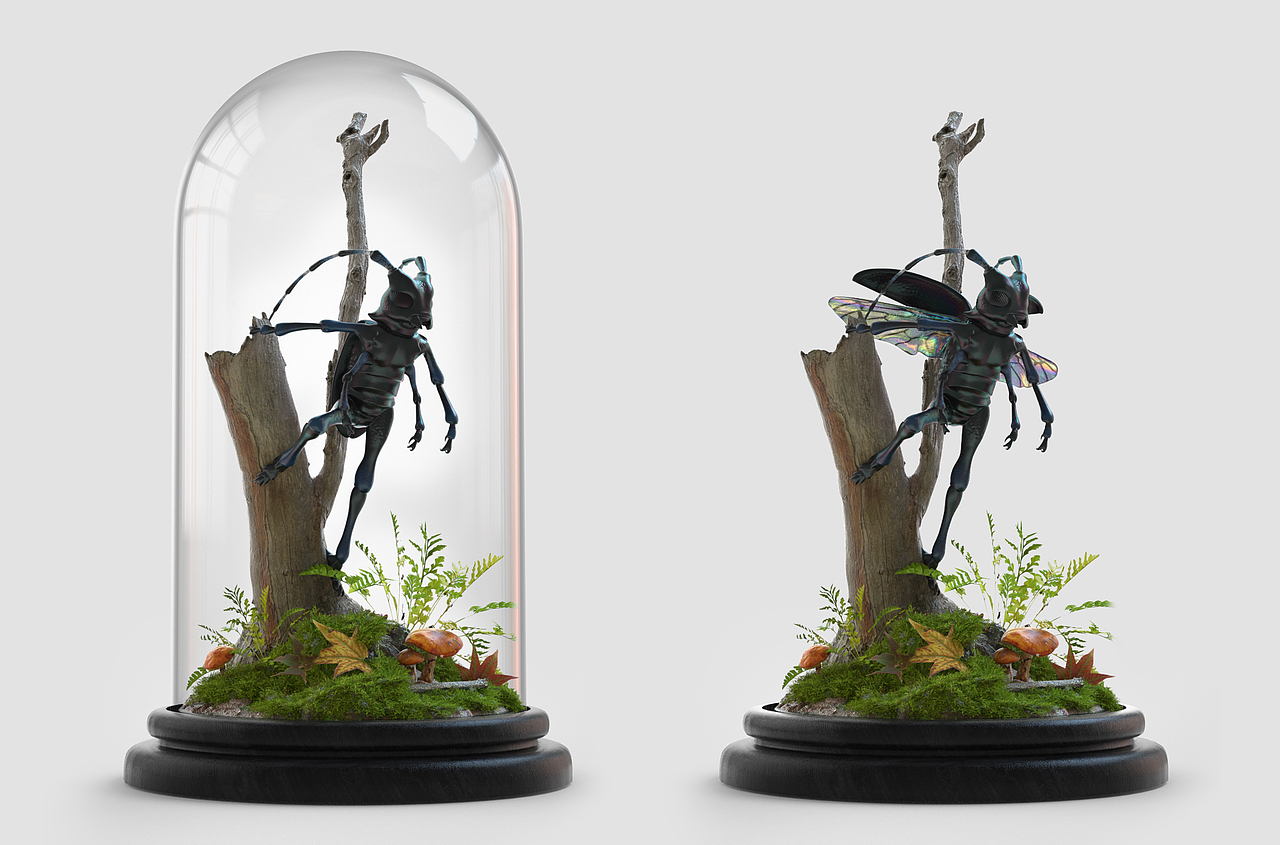 华星天牛anoplophorachinensis