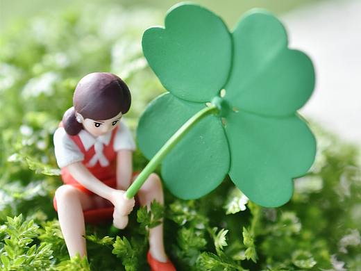 治愈系#蕨类植物#