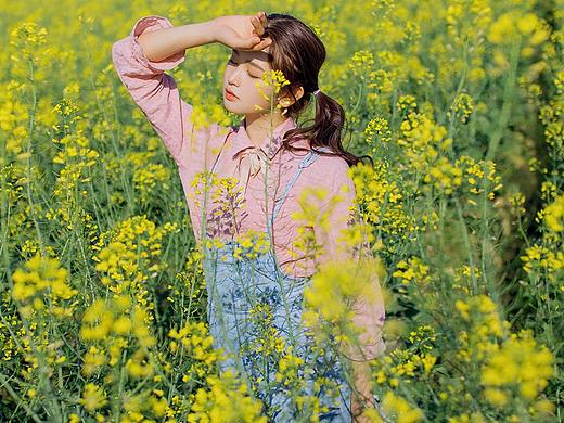 又是一年油菜花