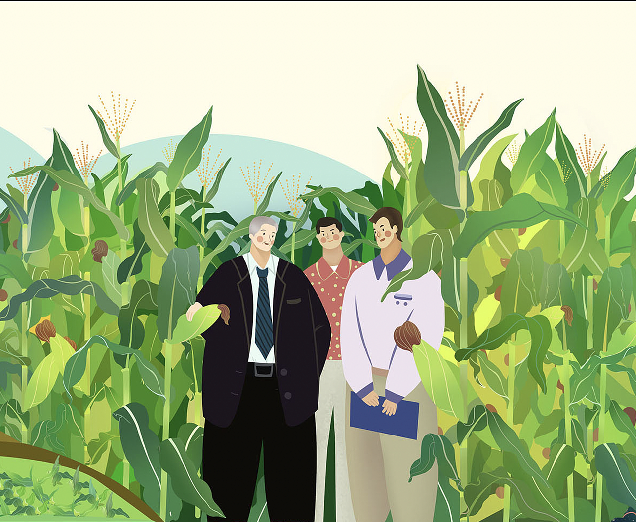 区域品牌插画横县甜玉米ip及品牌长图