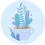 柠檬与柑橘的头像