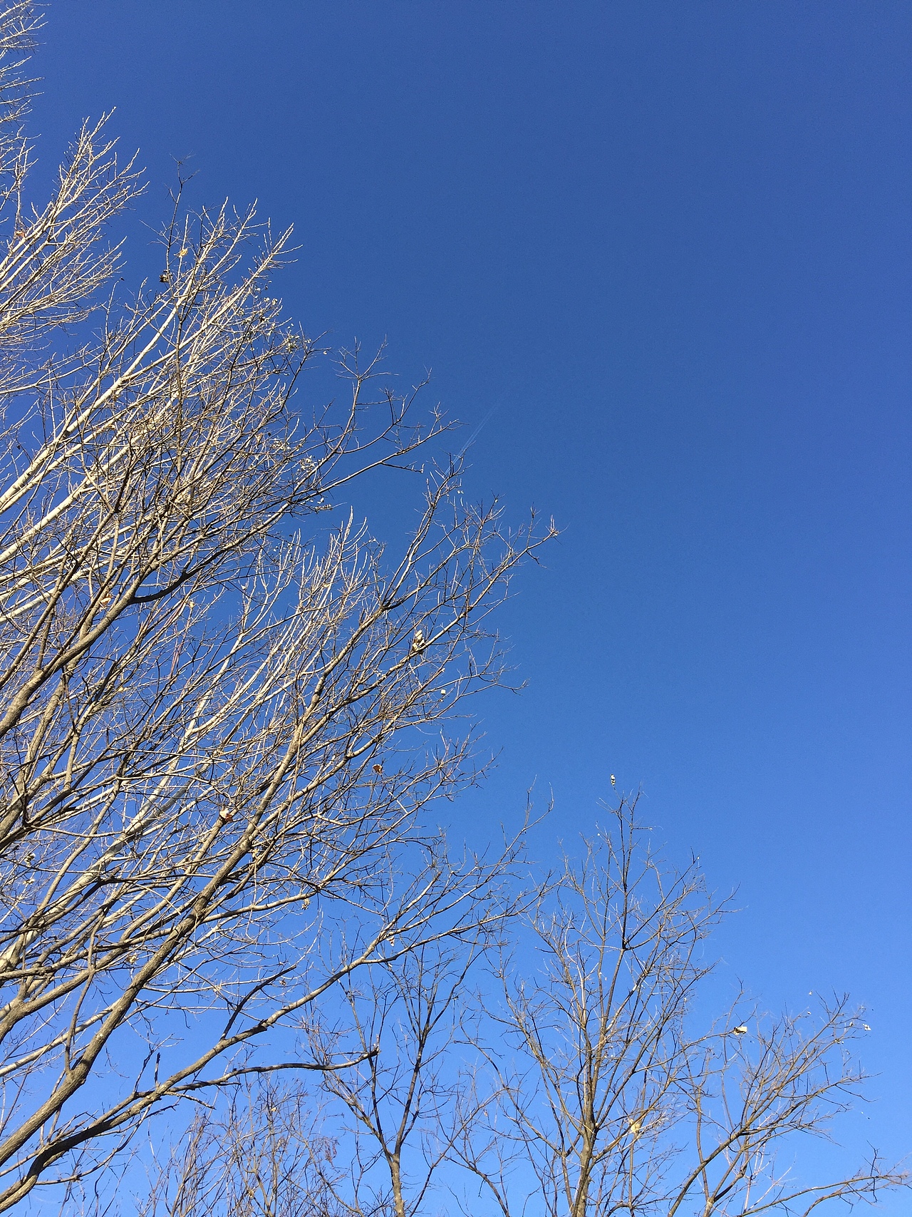 岁月无声,却悄悄流逝,而我想记录它当时的样子。