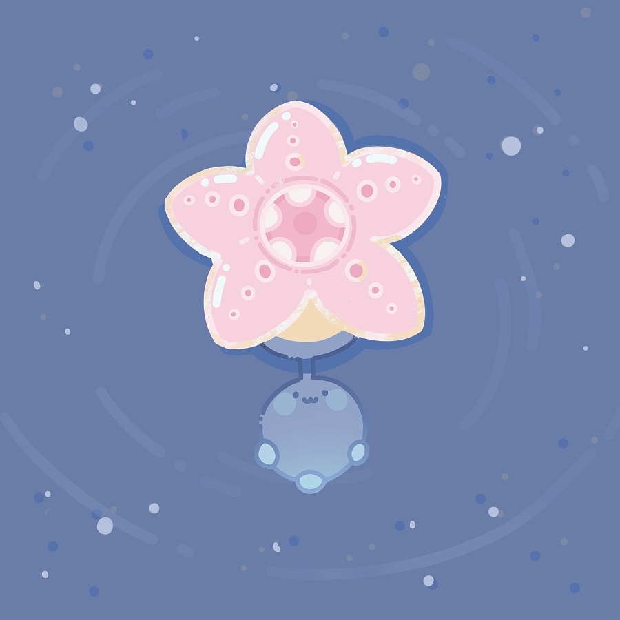 Cheya的赶海日记