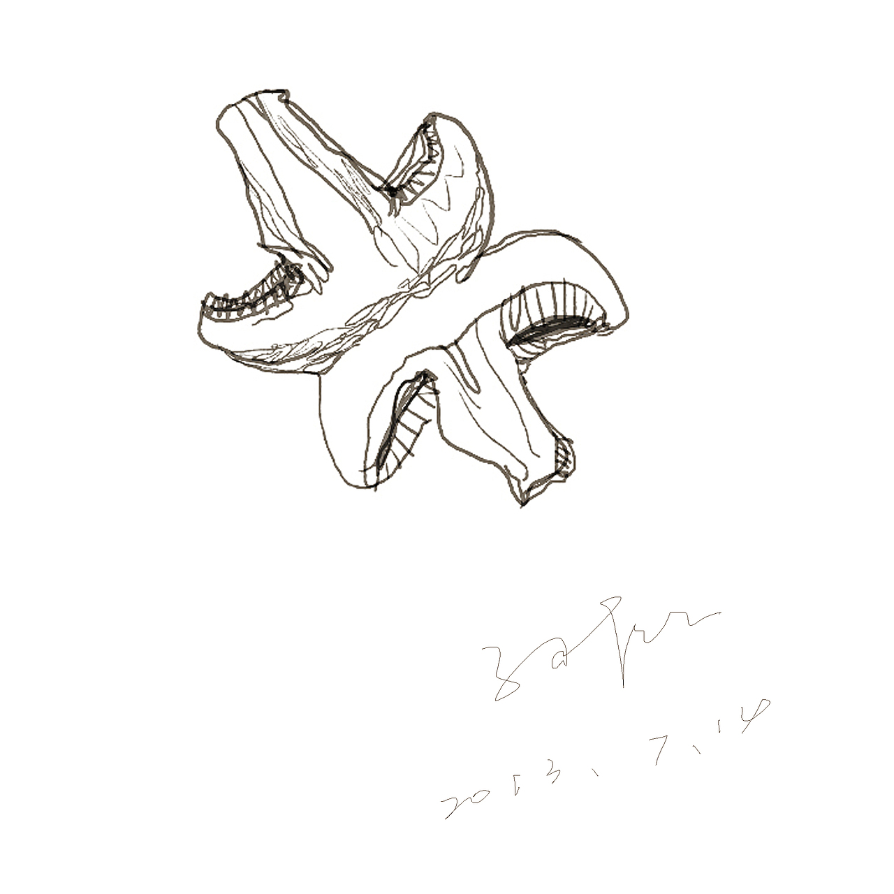 刨面,手绘风格,随笔插画。