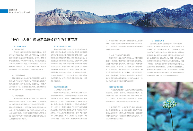 春之源食品印象杂志2013年7月刊（图ZMTAyMTkwNTI=） - 书籍/画册 - 站酷设计师恐狼制造原创素材 - 站酷ZCOOL