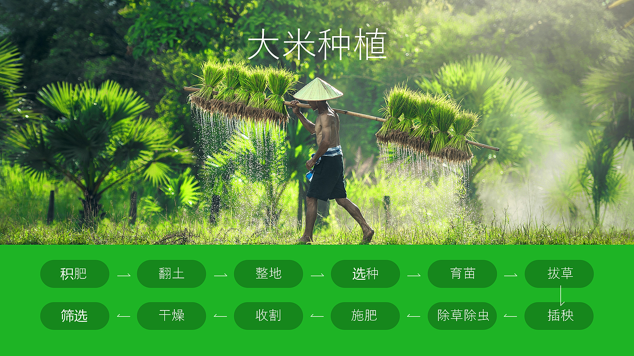 【农业方案】十亩良田的品牌宣传PPT