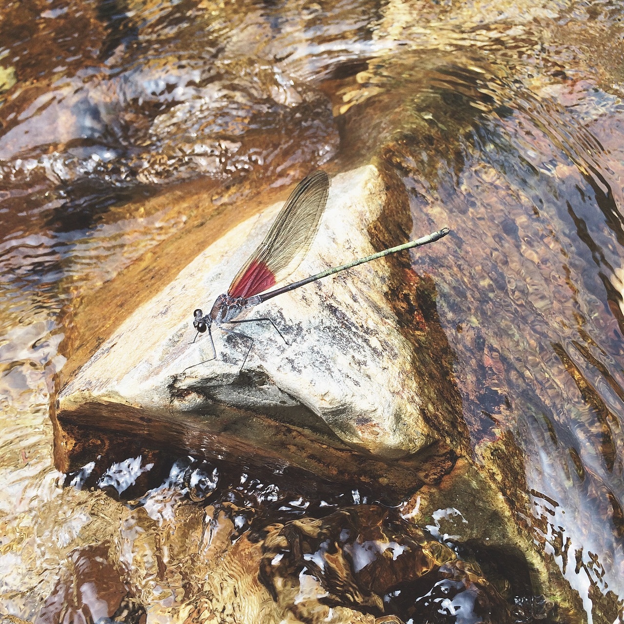 iPhone5s 摄（图ZMTg3MjU4NzU2） - 人文/纪实摄影 - 站酷设计师零一lemone原创素材 - 站酷ZCOOL