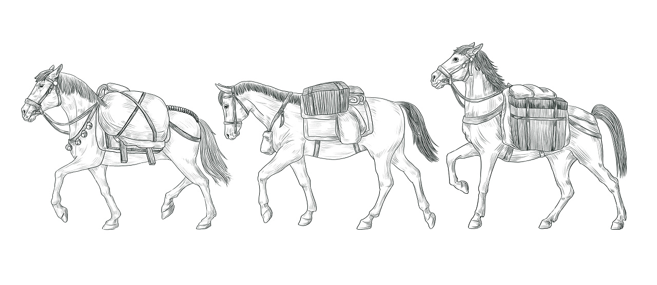 一款普洱茶饼包装插画