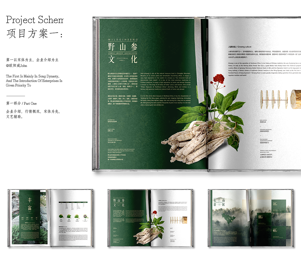 养生草药手册 I 精装纪念版